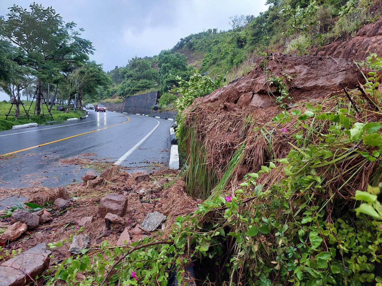Tạm dừng tham quan bán đảo Sơn Trà do sạt lở nghiêm trọng sau bão số 1