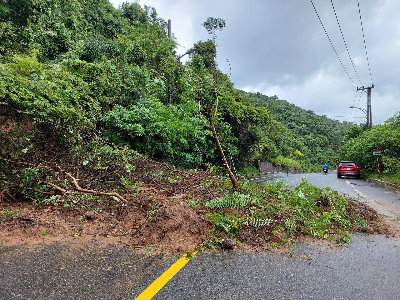 Tạm dừng tham quan bán đảo Sơn Trà do sạt lở nghiêm trọng sau bão số 1