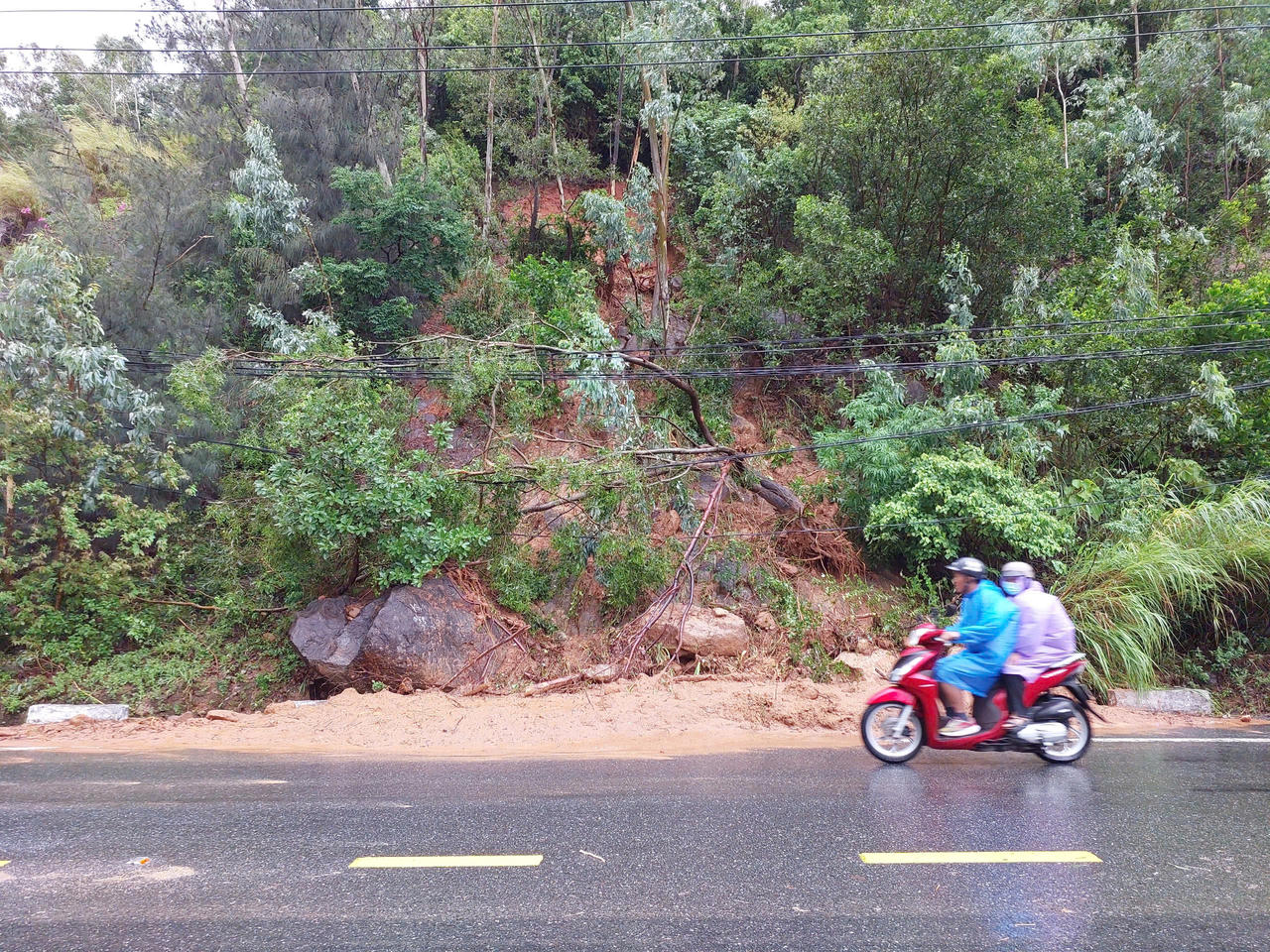 Tạm dừng tham quan bán đảo Sơn Trà do sạt lở nghiêm trọng sau bão số 1