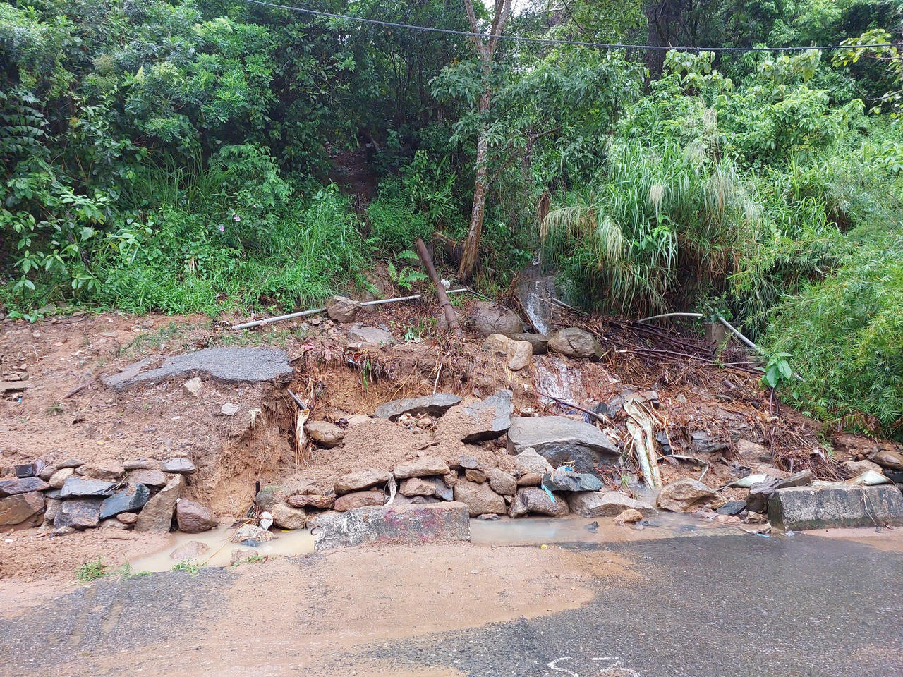 Tạm dừng tham quan bán đảo Sơn Trà do sạt lở nghiêm trọng sau bão số 1