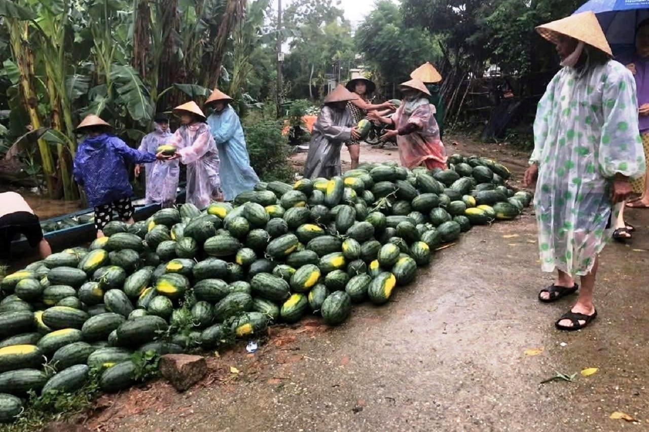 Quảng Nam: Hơn 700 nhà dân bị ngập, 16.000ha lúa, hoa màu chìm trong nước lũ sau bão số 1