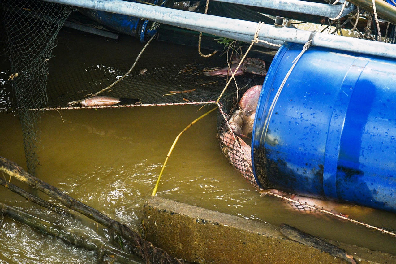 Đà Nẵng: Gần 180 cán bộ, chiến sĩ khẩn trương trục vớt lồng cá mắc kẹt ở đập An Trạch