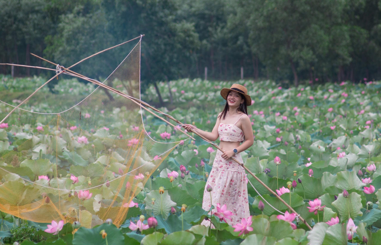 Trà Lý mùa sen nở mang vẻ đẹp hoang sơ hút hồn du khách