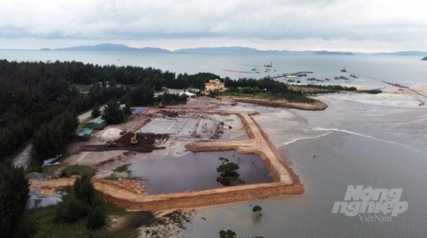 Công ty Thẩm Gia khai thác đất trái phép ở Vân Đồn