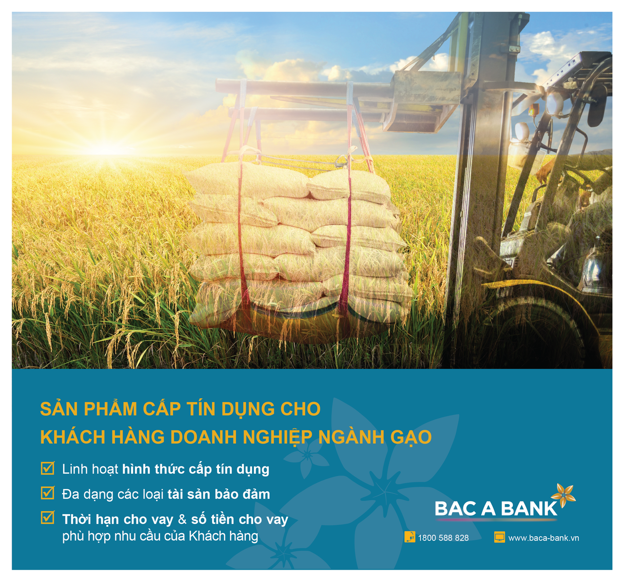 Doanh nghiệp ngành gạo đón "trợ lực" từ BAC A BANK