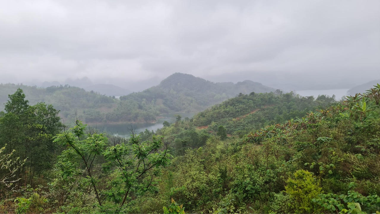 Tân Lạc, Hòa Bình: Giá đất rừng “tăng nóng”, nhiều dự án vướng mắc giải phóng mặt bằng