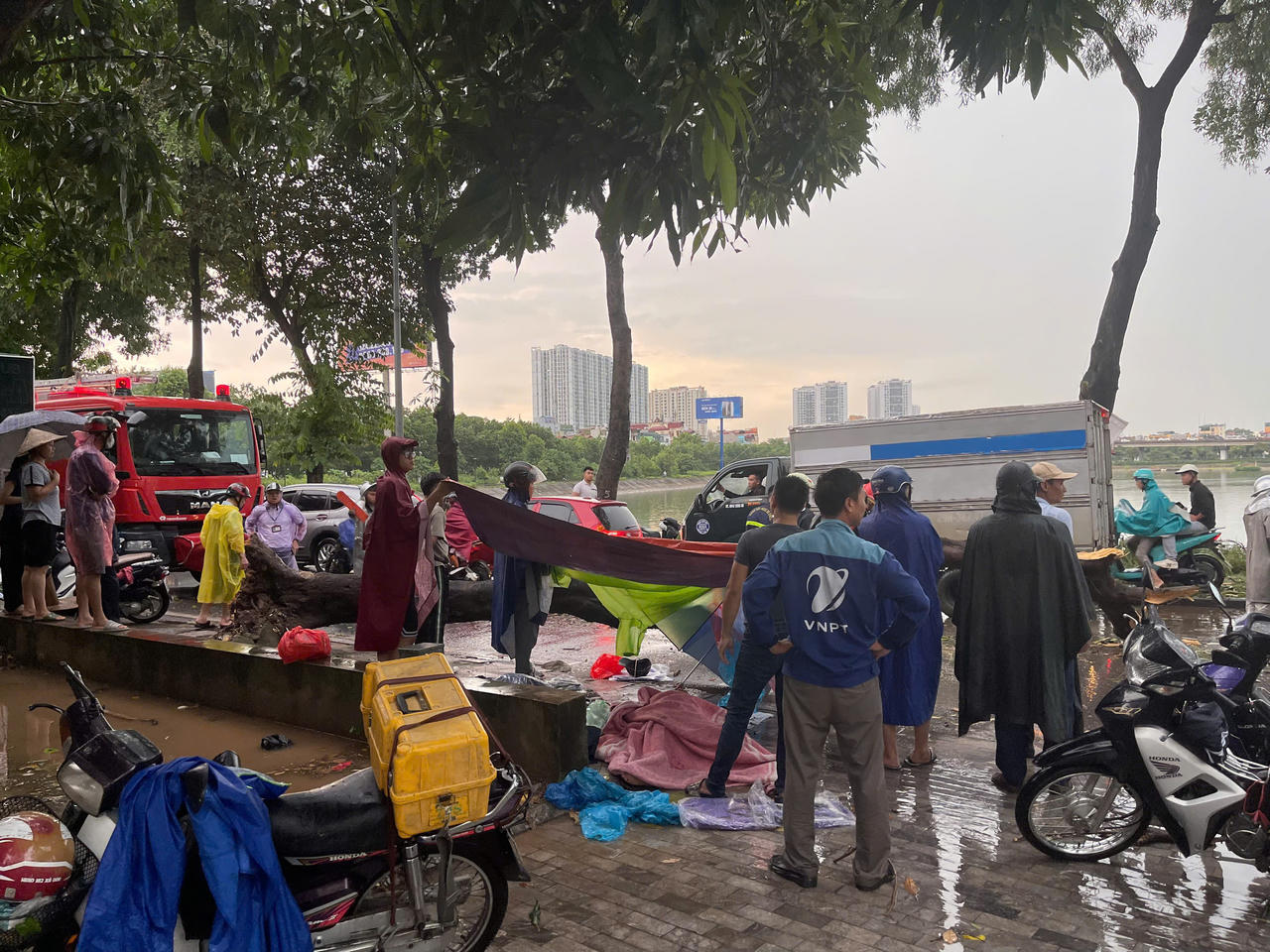  Hà Nội: Mưa lớn, gió to khiến cây đổ đè lên người đi đường