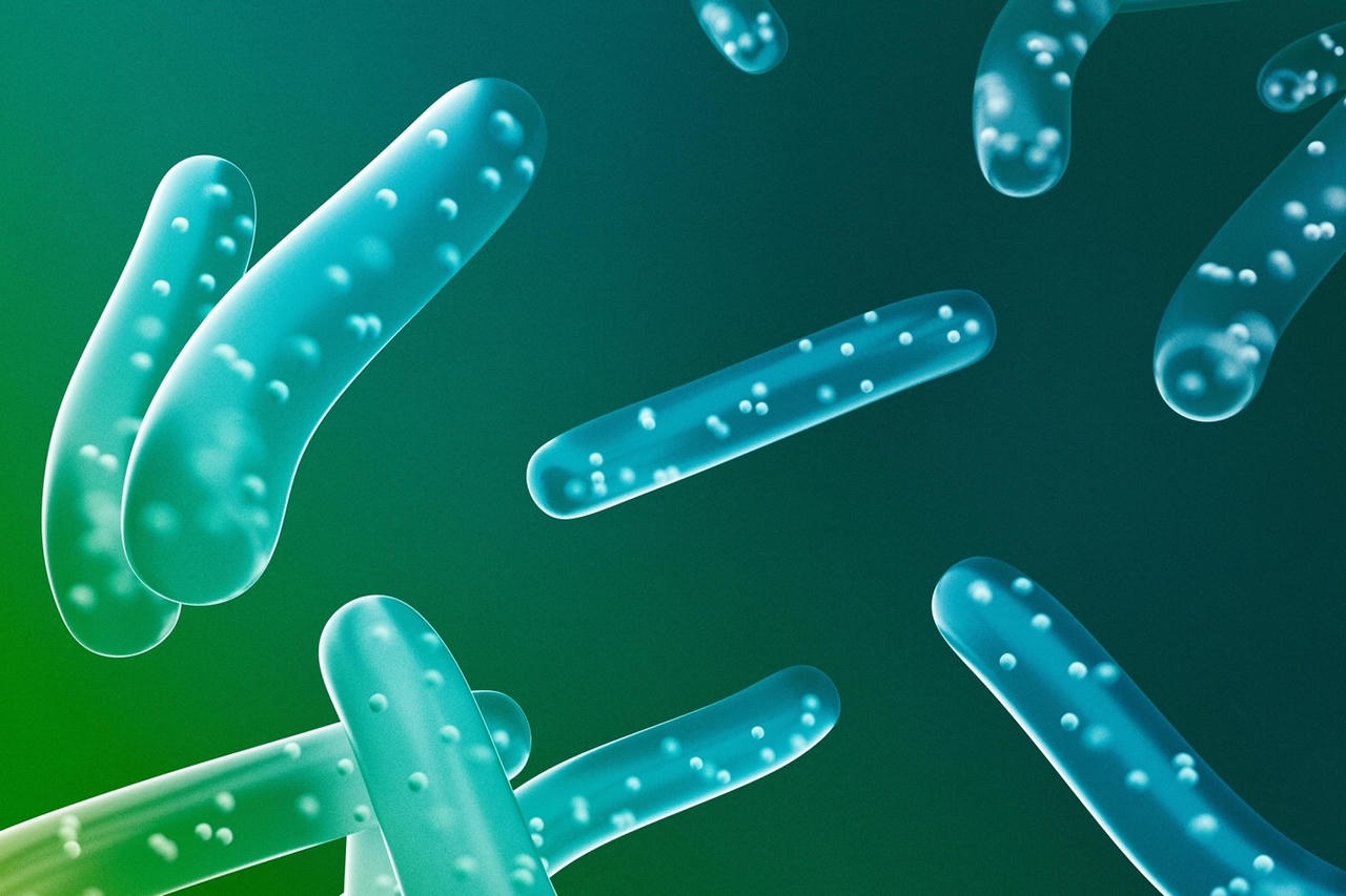 Dứt điểm tình trạng phân sống cho trẻ sơ sinh nhờ bí quyết từ Nhật Bản