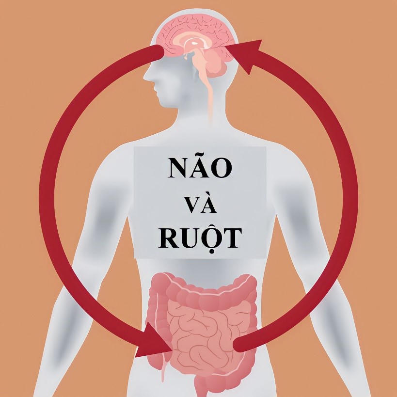 Bệnh hội chứng ruột kích thích có chữa khỏi được không?