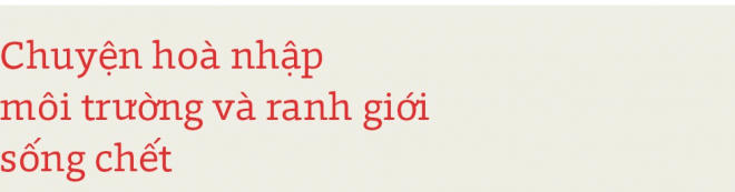 CEO Techcombank: “Cuộc sống mà bằng phẳng quá thì không còn gì thú vị” 