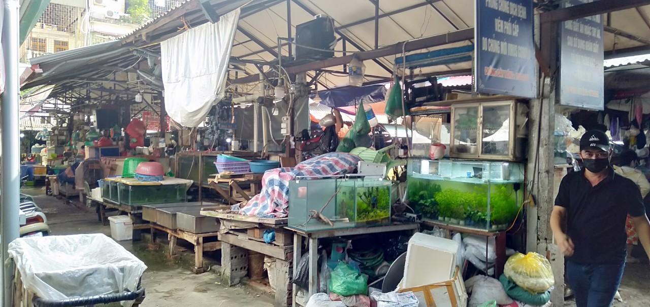 Ứớc mong đời thường của người Hà Nội mùa dịch