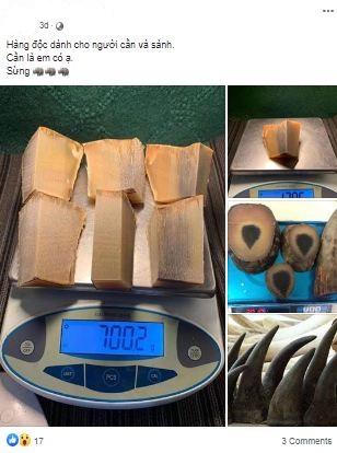 Rao bán sừng tê giác trên mạng có dấu hiệu tăng mạnh 