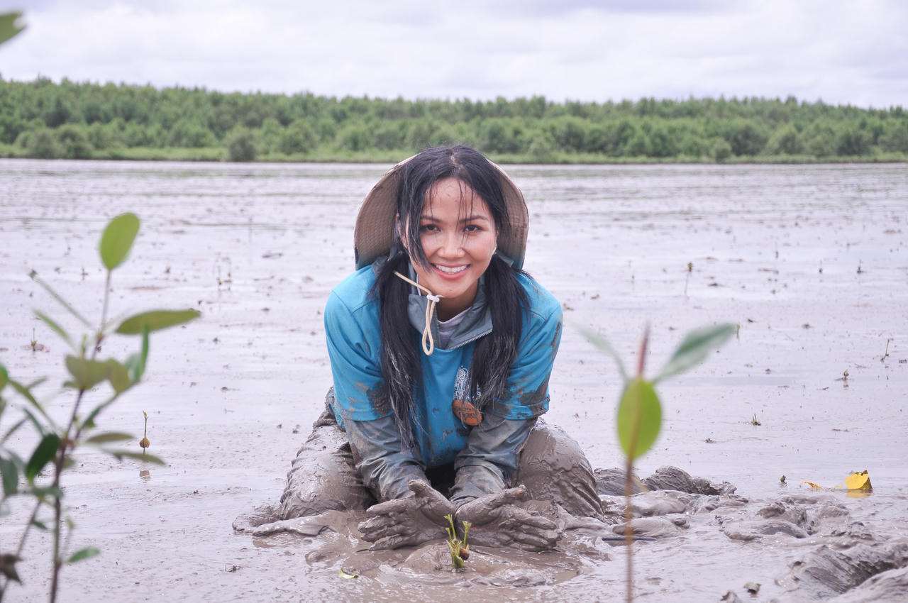 Hoa hậu H’Hen Niê tham gia khoanh nuôi và trải nghiệm rừng Cà Mau