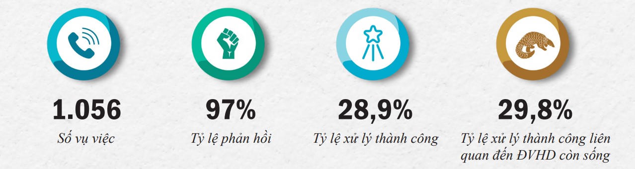 Hiệu quả xử lý phản hồi tin báo vi phạm về ĐVHD giảm trong năm 2021