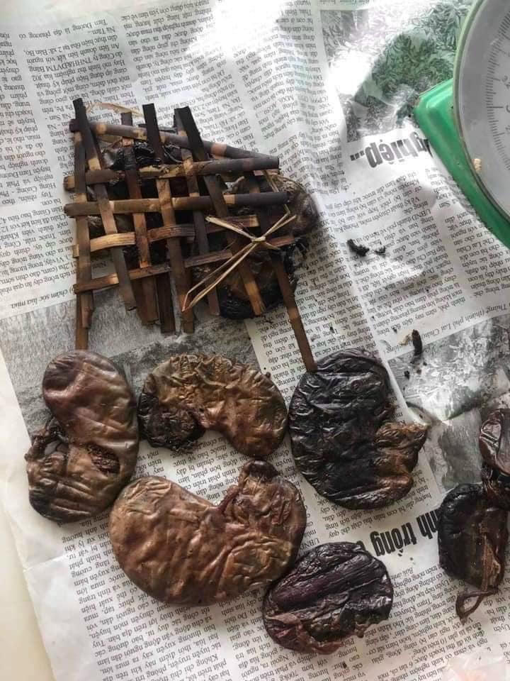 Vi phạm quy định bảo vệ động vật hoang dã trên không gian mạng vẫn diễn biến phức tạp 