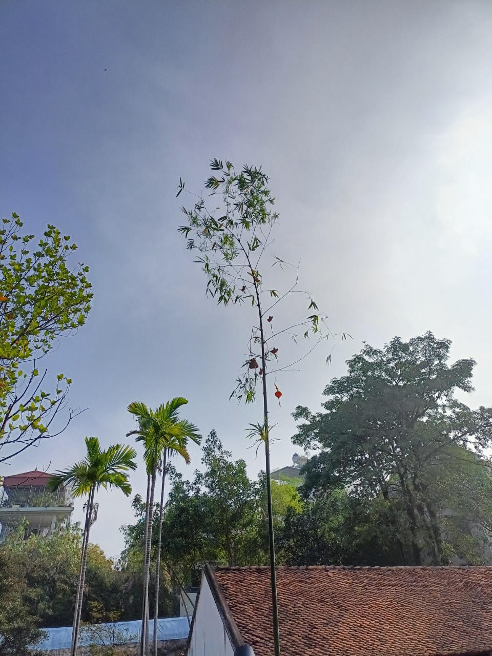 Trải nghiệm tục kéo dây lấy lửa độc đáo tại Bảo tàng Dân tộc học