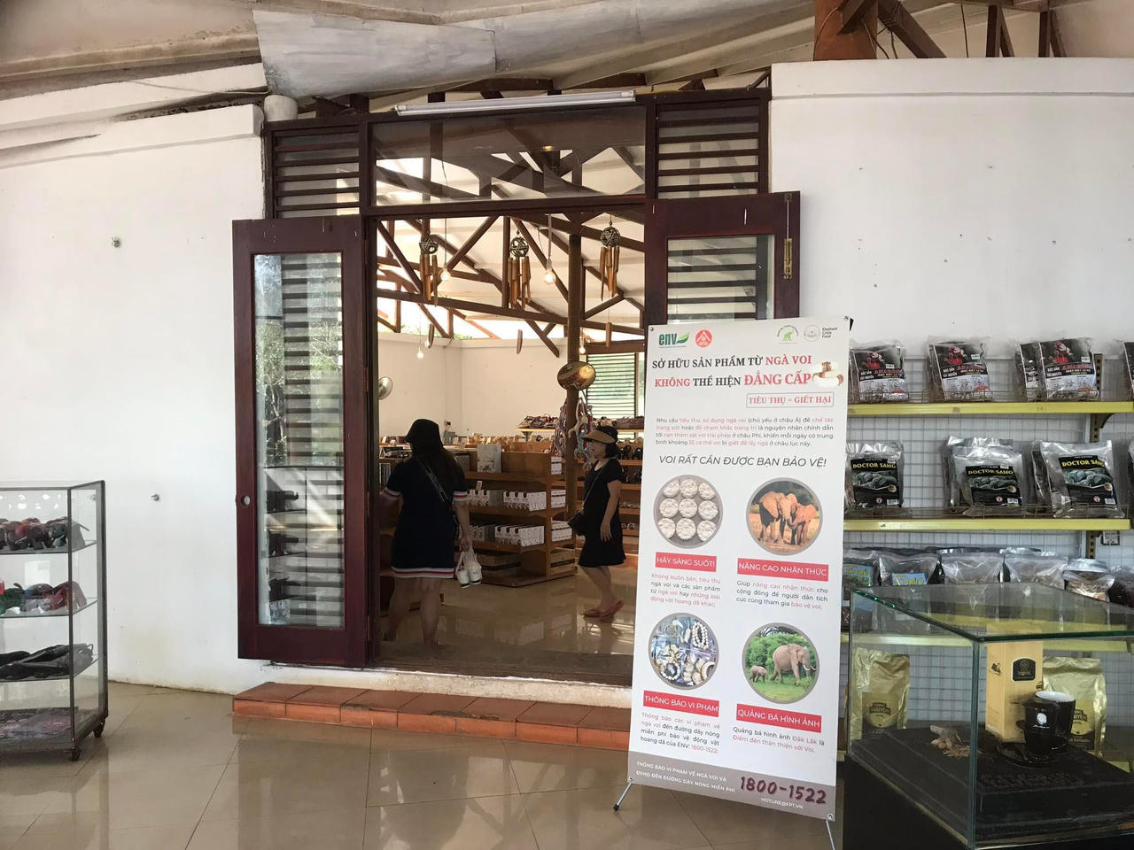 Ngà voi không đem lại may mắn