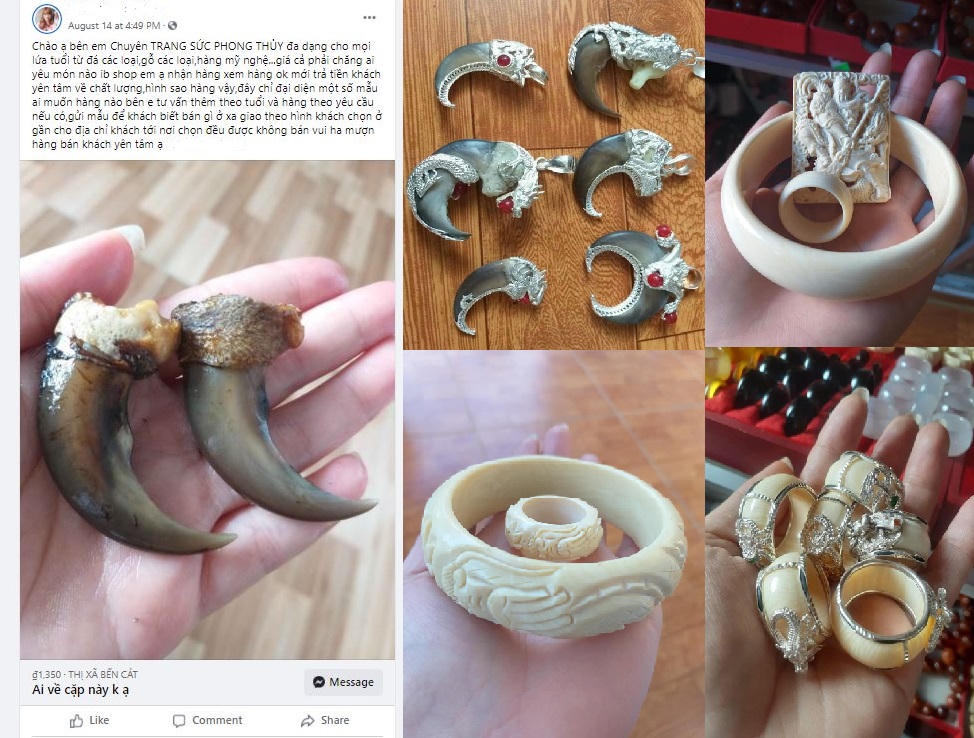 Nhận án tù vì rao bán trang sức từ động vật hoang dã trên mạng xã hội