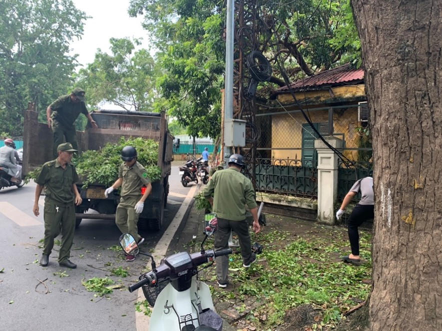 Phường Thụy Khuê (quận Tây Hồ) gấp rút thu dọn cây đổ do bão số 3