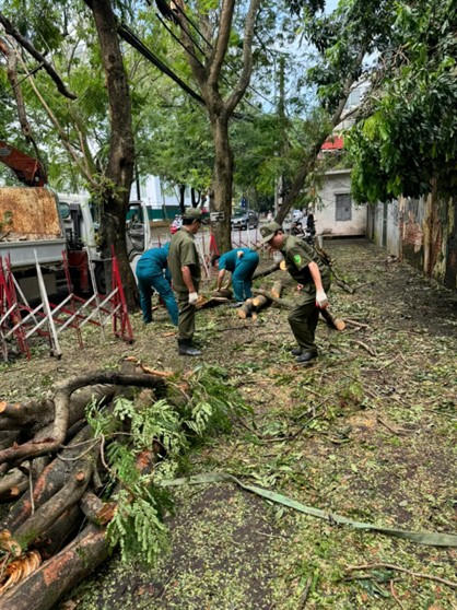Phường Thụy Khuê (quận Tây Hồ) gấp rút thu dọn cây đổ do bão số 3