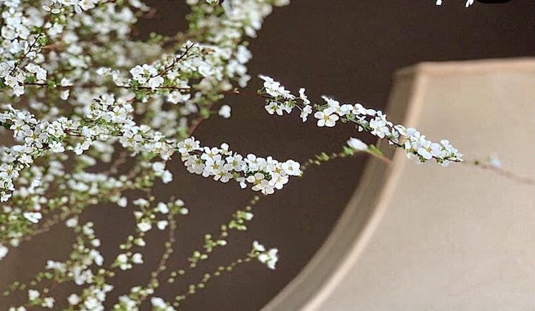 Hãy tự cắm cho mình một bình hoa và đợi chờ ngày hoa nở