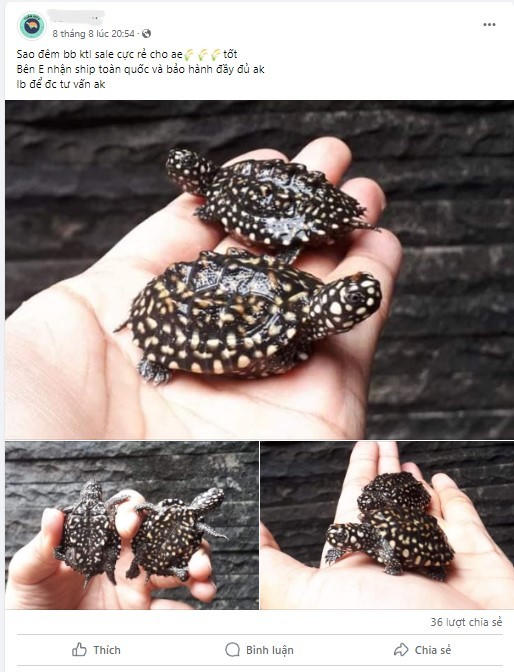 Ngày đấu tranh với các vi phạm về động vật hoang dã trên không gian mạng