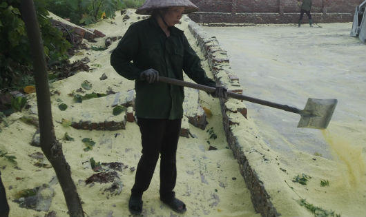 Phú Thọ: Gần 100 hộ dân “kêu cứu” vì ô nhiễm môi trường 