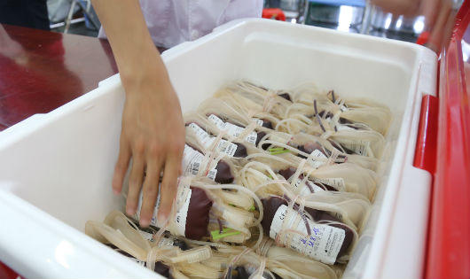 Kết nối giọt hồng đất Tổ