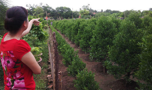 Hà Nội: Doanh nghiệp chung chi với chính quyền để lấy “đất vàng” thế nào?