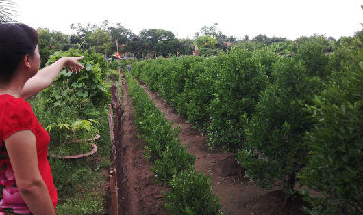 Hà Nội: Vì đâu hai Phó Chủ tịch chỉ đạo giao 1 mảnh đất vàng cho 2 chủ đầu tư? 