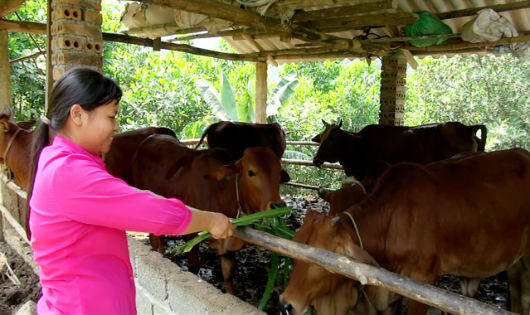 Giải pháp để người Dao Đá Cạn nhanh thoát nghèo