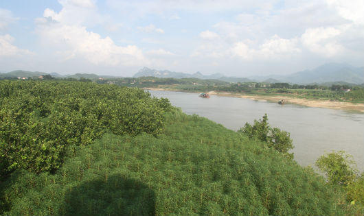 Dự án thủy điện cột nước thấp trên sông Lô Phú Thọ: dân lo mất nghiệp