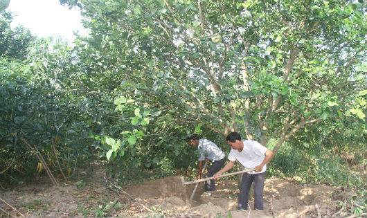 Dự án thủy điện cột nước thấp trên sông Lô Phú Thọ: dân lo mất nghiệp