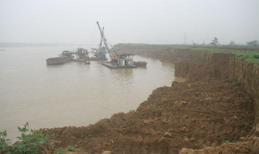 Phú Thọ: “Núp bóng” bãi bốc xếp hàng hóa, ngang nhiên khai thác cát trái phép?