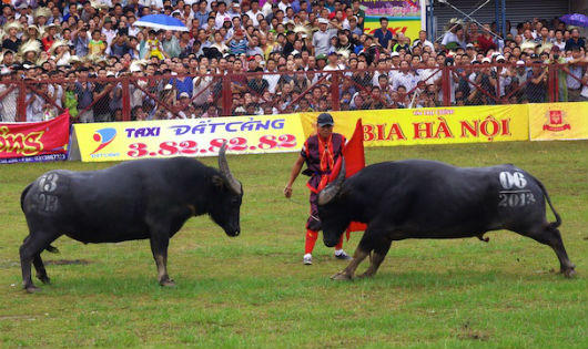 Lễ hội 2017: Giảm phản cảm, bạo lực, trục lợi