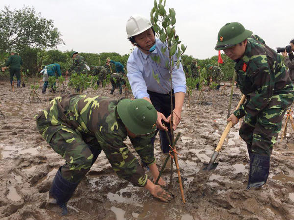Biến đất ngập nước Thái Bình thành vùng phát triển kinh tế môi trường kiểu mẫu