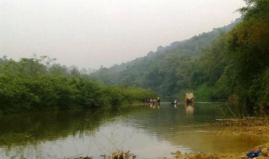 Thanh Hóa: Hơn 4 tạ cá chết nổi trắng trên sông Âm, dân đưa đi tiêu hủy