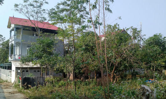 Cấp sổ đỏ nhiều sai sót ở Vĩnh Phúc: người đề nghị cấp chỉ nhận ký hồ sơ nhầm ngày!