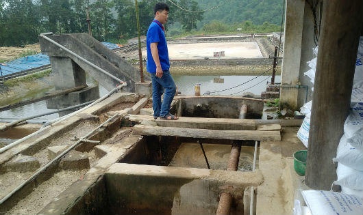 Hòa Bình yêu cầu nhà máy giấy Thuận Phát báo cáo phương án xử lý triệt để nước thải ra suối Cái