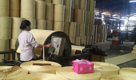 Hòa Bình yêu cầu nhà máy giấy Thuận Phát báo cáo phương án xử lý triệt để nước thải ra suối Cái