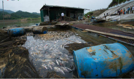 Bất lực nhìn khối tài sản hàng chục tỷ trôi theo lũ