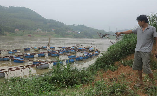 Bất lực nhìn khối tài sản hàng chục tỷ trôi theo lũ