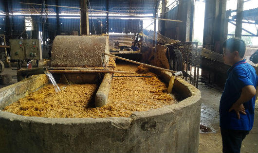 Phương án xử lý ô nhiễm môi trường của Nhà máy giấy Thuận Phát