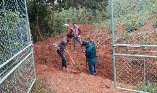 Phú Thọ: Gia đình Trưởng khu 3 ngang nhiên dùng máy xúc đào đường, đánh người nhập viện  