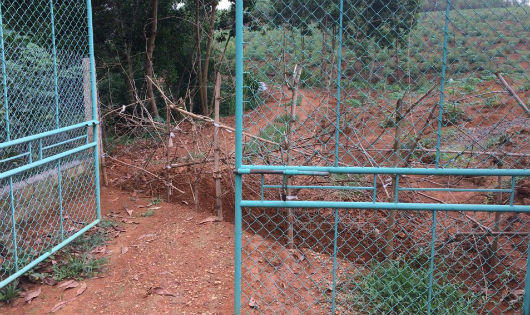 Phú Thọ: Gia đình Trưởng khu 3 ngang nhiên dùng máy xúc đào đường, đánh người nhập viện  