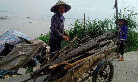 Thót tim: Bất chấp xả lũ, người dân lao ra giữa sông Hồng vớt củi