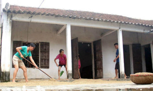 Chủ tịch Chung yêu cầu đảm bảo đời sống cho người dân vùng ngập úng