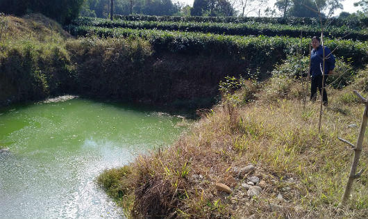 Thái Nguyên: Cấp quyền khai thác cát cả vào đất trồng chè đặc sản của người dân