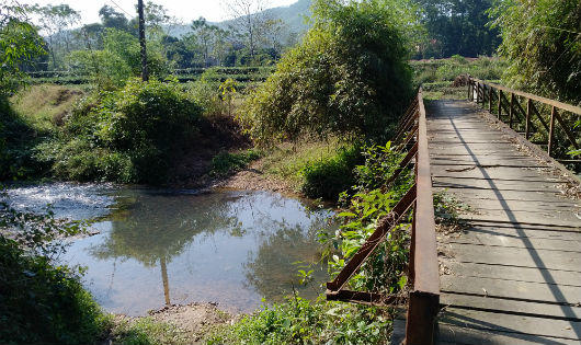 Thái Nguyên: Cấp quyền khai thác cát cả vào đất trồng chè đặc sản của người dân