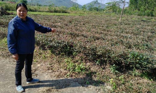 Thái Nguyên: Dừng việc khai thác cát, sỏi đã được cấp phép cho Công ty Hải Thành